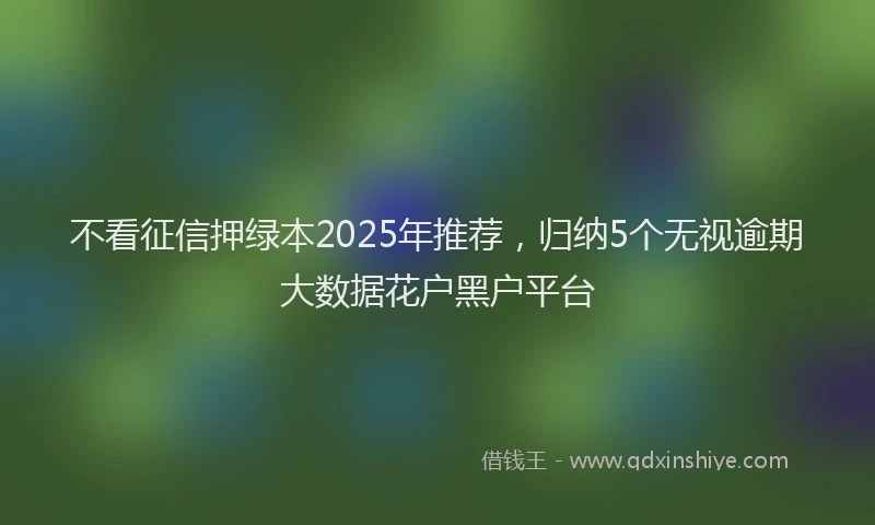 不看征信押绿本2025年推荐，归纳5个无视逾期大数据花户黑户平台