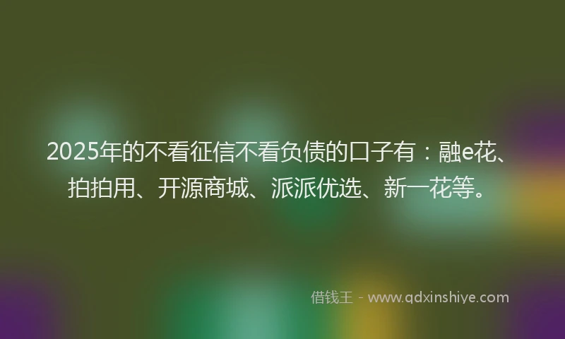 2025年的不看征信不看负债的口子有：融e花、拍拍用、开源商城、派派优选、新一花等。