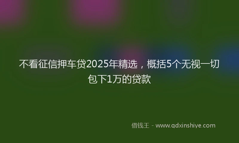 不看征信押车贷2025年精选，概括5个无视一切包下1万的贷款
