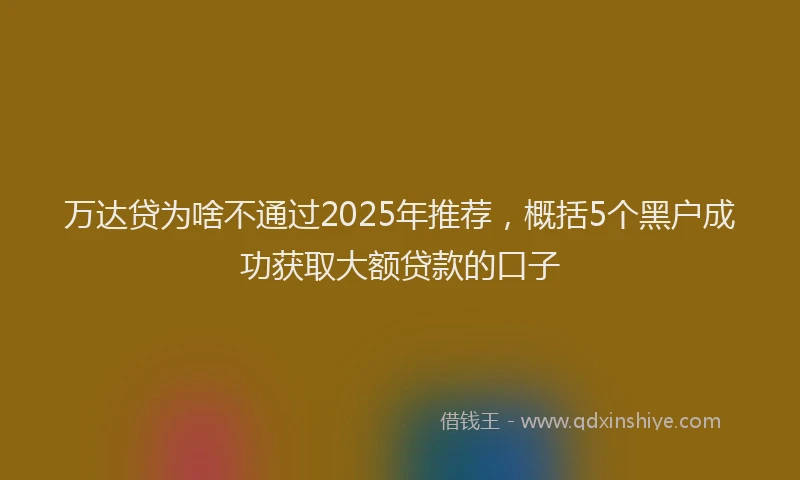 万达贷为啥不通过2025年推荐，概括5个黑户成功获取大额贷款的口子