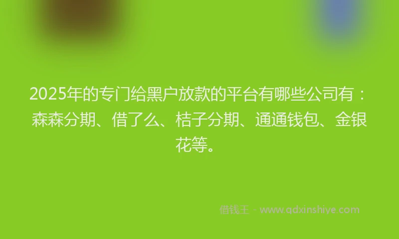 2025年的专门给黑户放款的平台有哪些公司有：森森分期、借了么、桔子分期、通通钱包、金银花等。