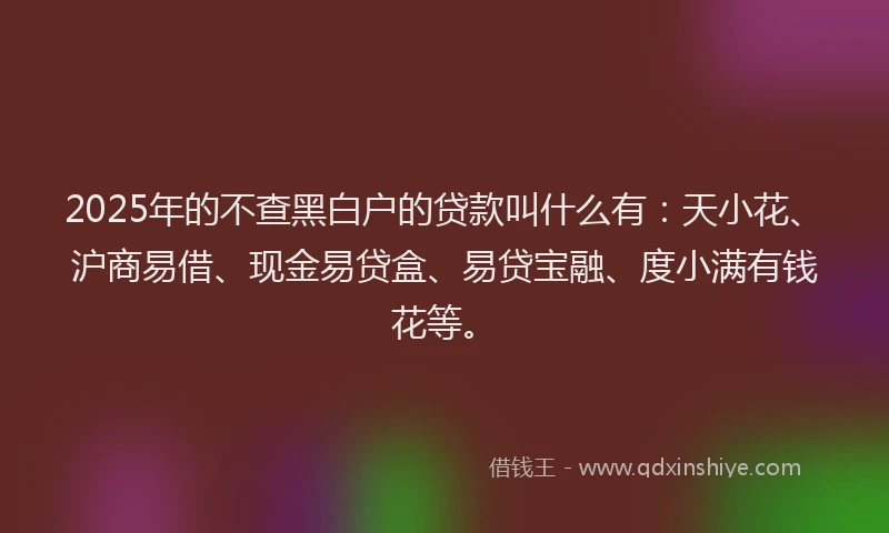 2025年的不查黑白户的贷款叫什么有：天小花、沪商易借、现金易贷盒、易贷宝融、度小满有钱花等。