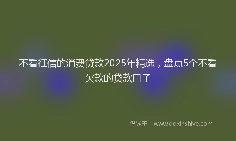 不看征信的消费贷款2025年精选，盘点5个不看欠款的贷款口子
