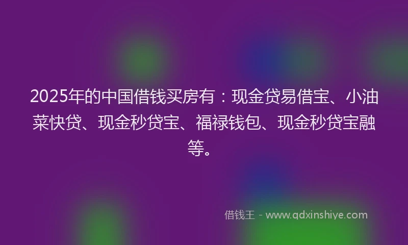2025年的中国借钱买房有：现金贷易借宝、小油菜快贷、现金秒贷宝、福禄钱包、现金秒贷宝融等。