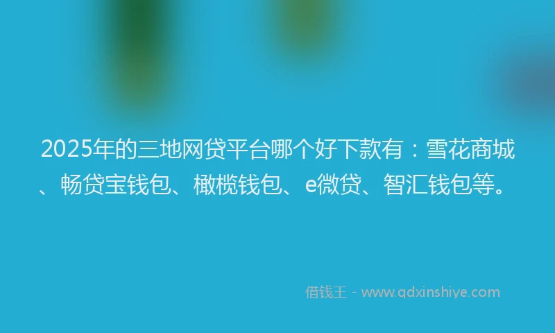 2025年的三地网贷平台哪个好下款有：雪花商城、畅贷宝钱包、橄榄钱包、e微贷、智汇钱包等。