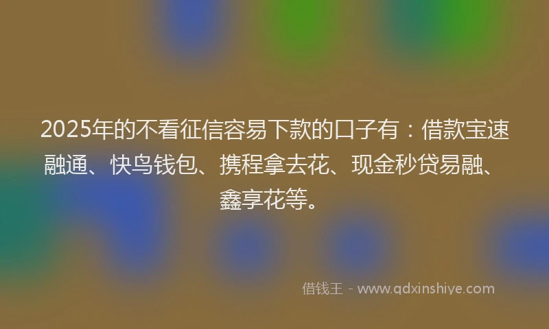 2025年的不看征信容易下款的口子有：借款宝速融通、快鸟钱包、携程拿去花、现金秒贷易融、鑫享花等。