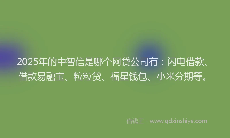 2025年的中智信是哪个网贷公司有:闪电借款、借款易融宝、粒粒贷、福星钱包、小米分期等。