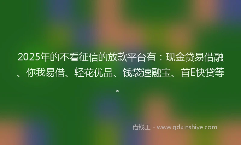 2025年的不看征信的放款平台有：现金贷易借融、你我易借、轻花优品、钱袋速融宝、首E快贷等。