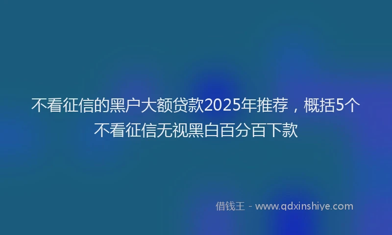 不看征信的黑户大额贷款2025年推荐，概括5个不看征信无视黑白百分百下款