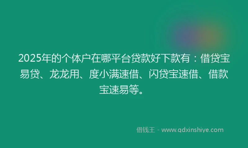 2025年的个体户在哪平台贷款好下款有:借贷宝易贷、龙龙用、度小满速借、闪贷宝速借、借款宝速易等。