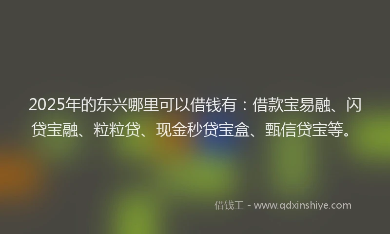 2025年的东兴哪里可以借钱有：借款宝易融、闪贷宝融、粒粒贷、现金秒贷宝盒、甄信贷宝等。