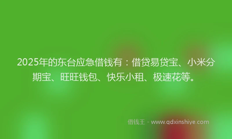 2025年的东台应急借钱有：借贷易贷宝、小米分期宝、旺旺钱包、快乐小租、极速花等。