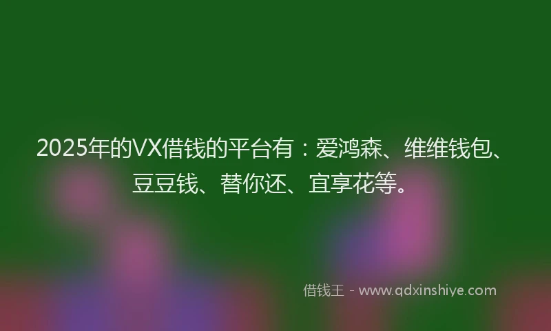 2025年的VX借钱的平台有：爱鸿森、维维钱包、豆豆钱、替你还、宜享花等。