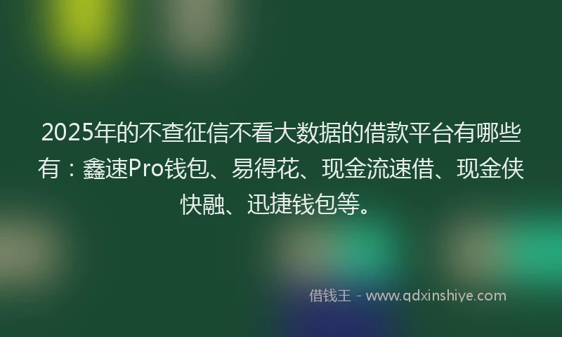 2025年的不查征信不看大数据的借款平台有哪些有：鑫速Pro钱包、易得花、现金流速借、现金侠快融、迅捷钱包等。