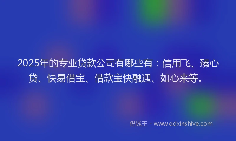 2025年的专业贷款公司有哪些有：信用飞、臻心贷、快易借宝、借款宝快融通、如心来等。