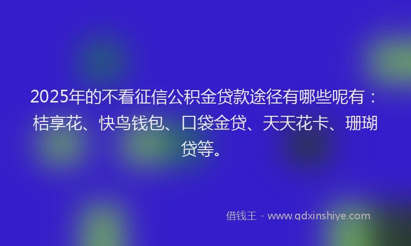 2025年的不看征信公积金贷款途径有哪些呢有：桔享花、快鸟钱包、口袋金贷、天天花卡、珊瑚贷等。