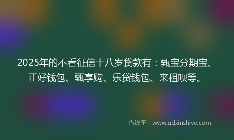 2025年的不看征信十八岁贷款有：甄宝分期宝、正好钱包、甄享购、乐贷钱包、来租呗等。