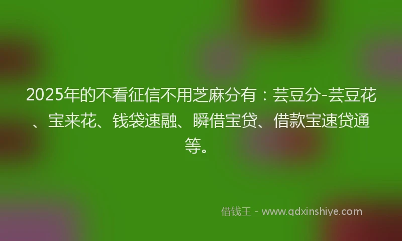 2025年的不看征信不用芝麻分有：芸豆分-芸豆花、宝来花、钱袋速融、瞬借宝贷、借款宝速贷通等。