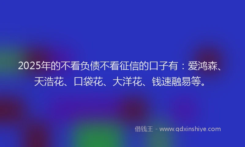 2025年的不看负债不看征信的口子有：爱鸿森、天浩花、口袋花、大洋花、钱速融易等。