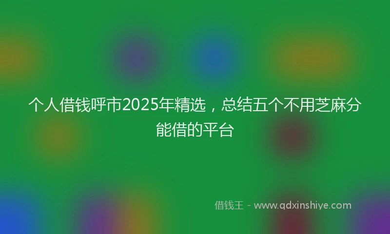 个人借钱呼市2025年精选，总结五个不用芝麻分能借的平台