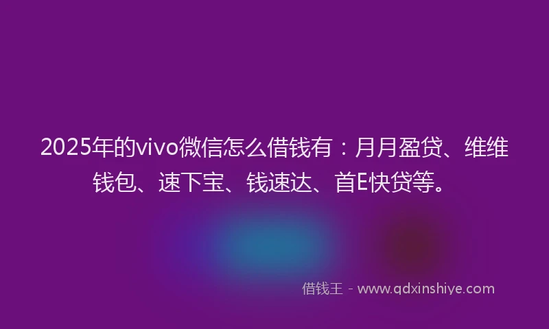 2025年的vivo微信怎么借钱有：月月盈贷、维维钱包、速下宝、钱速达、首E快贷等。