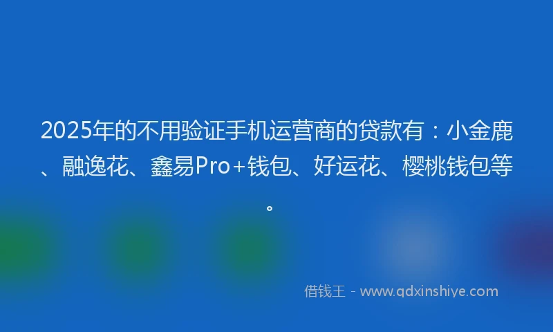 2025年的不用验证手机运营商的贷款有：小金鹿、融逸花、鑫易Pro+钱包、好运花、樱桃钱包等。