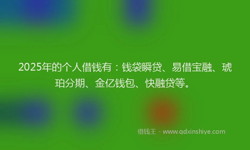 2025年的个人借钱有：钱袋瞬贷、易借宝融、琥珀分期、金亿钱包、快融贷等。