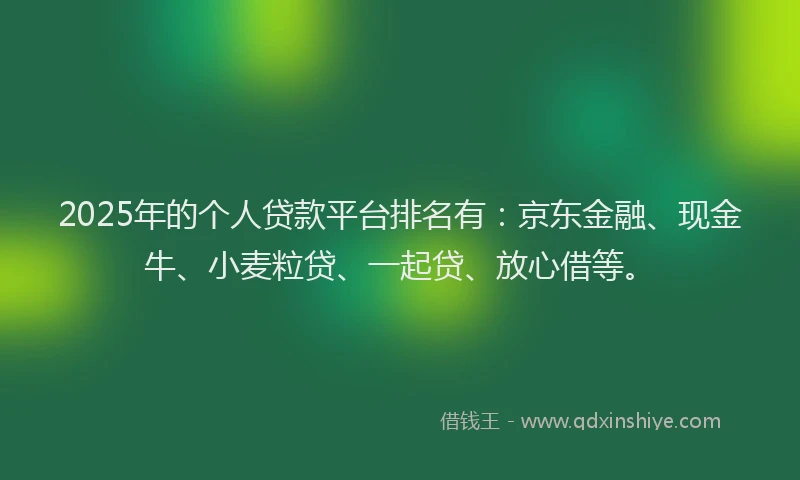 2025年的个人贷款平台排名有：京东金融、现金牛、小麦粒贷、一起贷、放心借等。