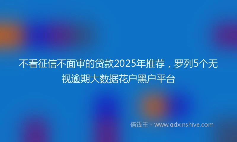 不看征信不面审的贷款2025年推荐，罗列5个无视逾期大数据花户黑户平台