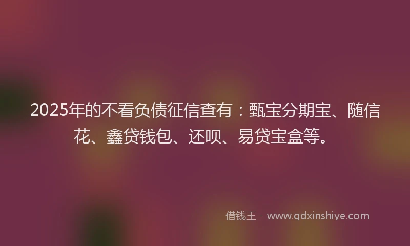 2025年的不看负债征信查有：甄宝分期宝、随信花、鑫贷钱包、还呗、易贷宝盒等。