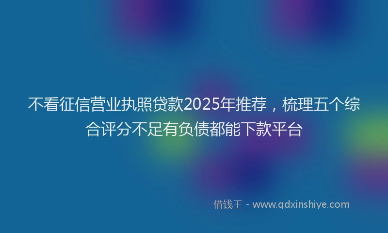 不看征信营业执照贷款2025年推荐，梳理五个综合评分不足有负债都能下款平台