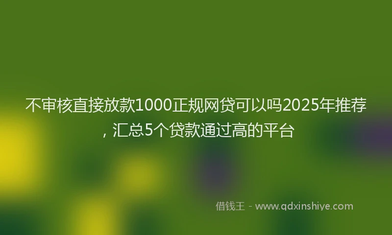 不审核直接放款1000正规网贷可以吗2025年推荐,汇总5个贷款通过高的平台