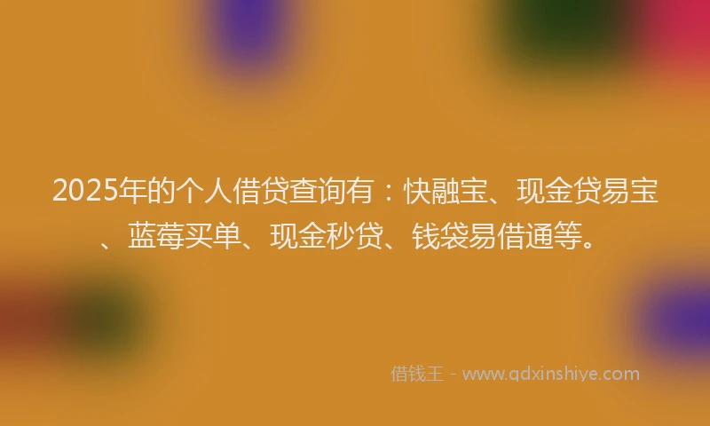 2025年的个人借贷查询有：快融宝、现金贷易宝、蓝莓买单、现金秒贷、钱袋易借通等。