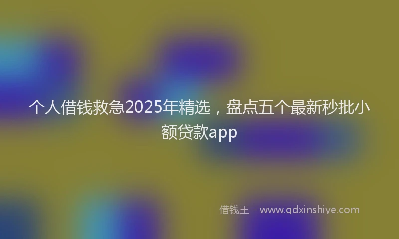 个人借钱救急2025年精选，盘点五个最新秒批小额贷款app