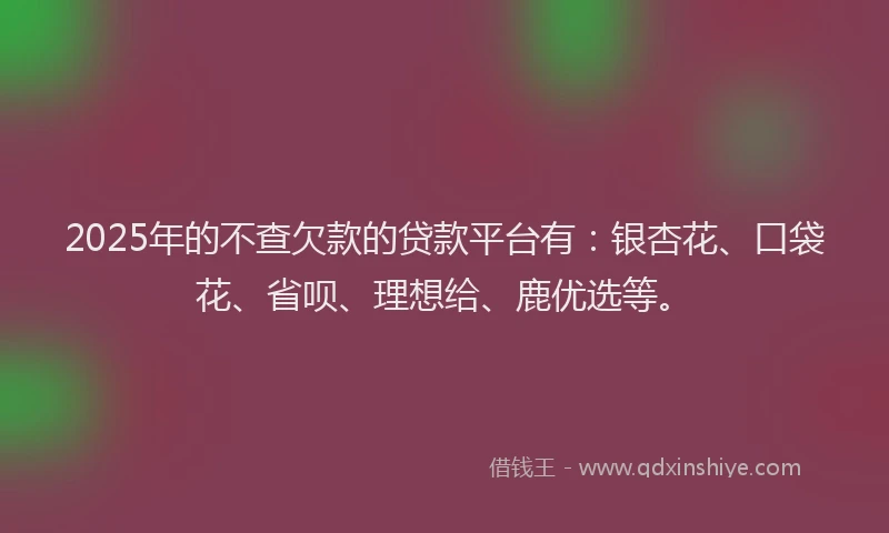 2025年的不查欠款的贷款平台有：银杏花、口袋花、省呗、理想给、鹿优选等。