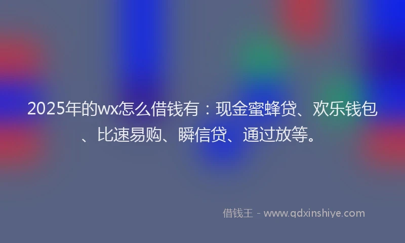 2025年的wx怎么借钱有：现金蜜蜂贷、欢乐钱包、比速易购、瞬信贷、通过放等。