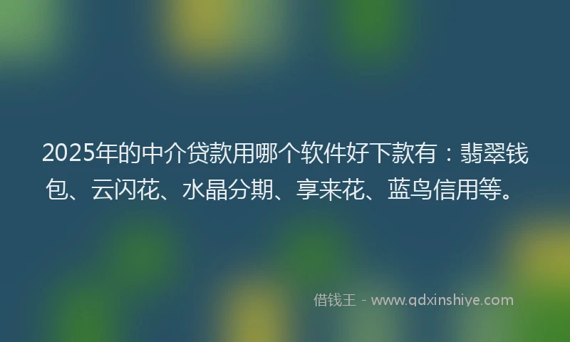 2025年的中介贷款用哪个软件好下款有：翡翠钱包、云闪花、水晶分期、享来花、蓝鸟信用等。