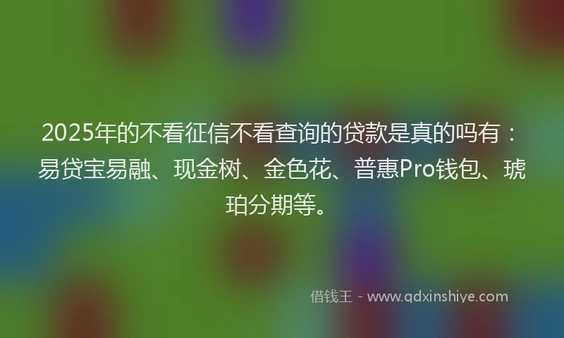 2025年的不看征信不看查询的贷款是真的吗有：易贷宝易融、现金树、金色花、普惠Pro钱包、琥珀分期等。