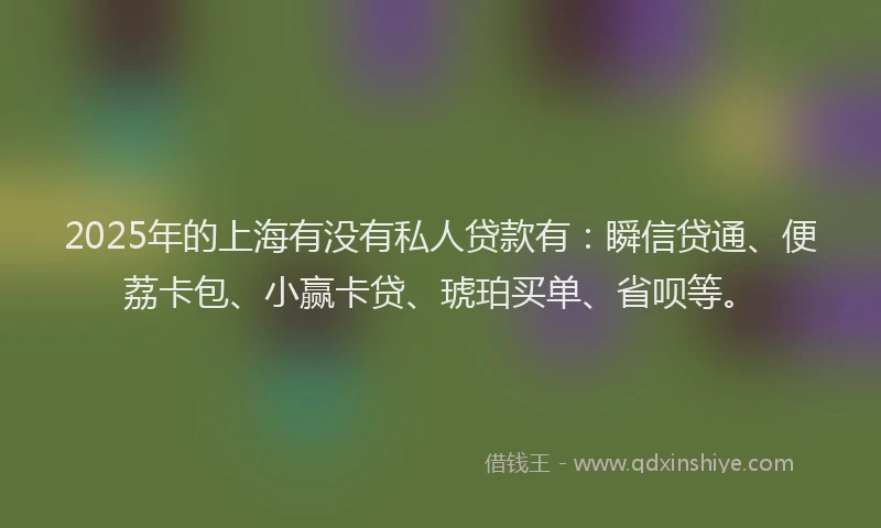 2025年的上海有没有私人贷款有：瞬信贷通、便荔卡包、小赢卡贷、琥珀买单、省呗等。
