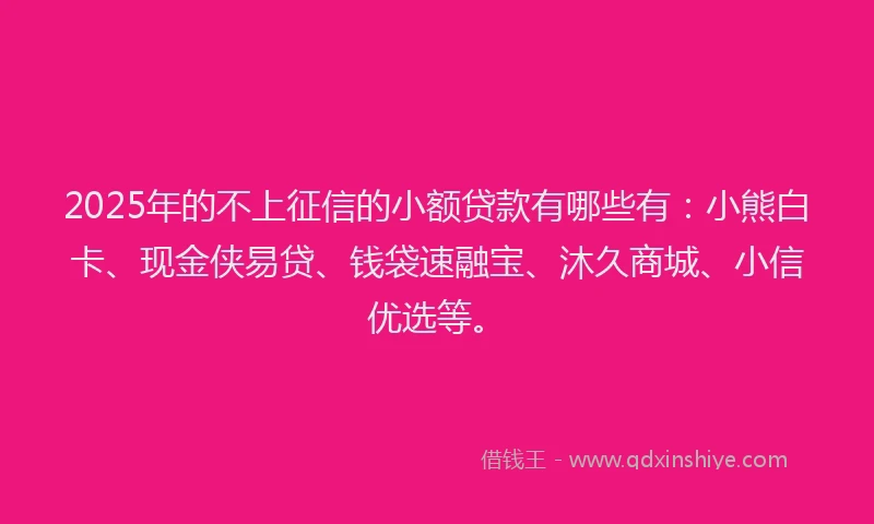 2025年的不上征信的小额贷款有哪些有：小熊白卡、现金侠易贷、钱袋速融宝、沐久商城、小信优选等。