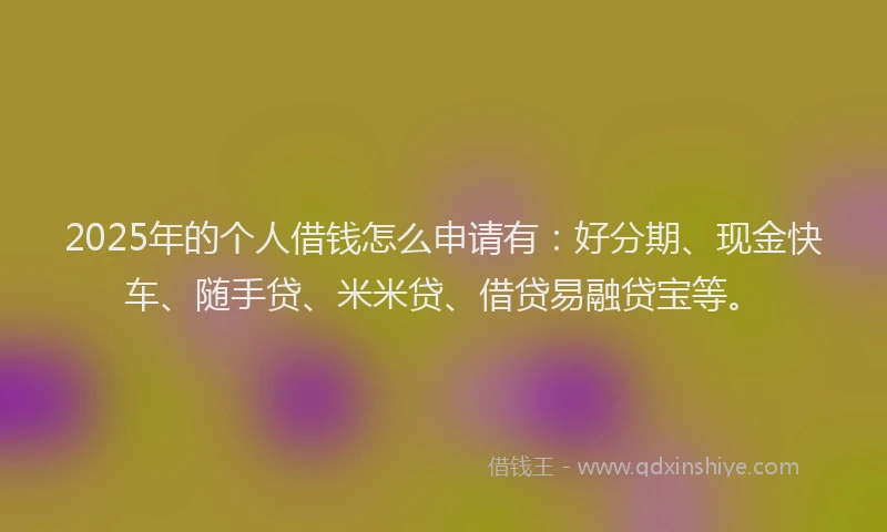 2025年的个人借钱怎么申请有：好分期、现金快车、随手贷、米米贷、借贷易融贷宝等。