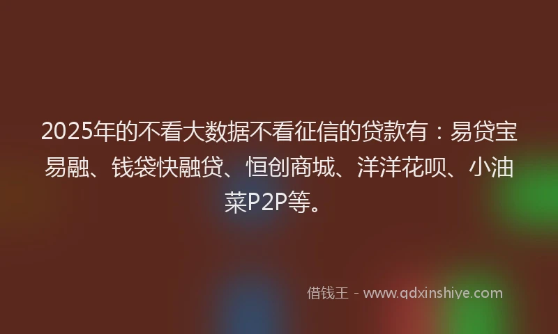 2025年的不看大数据不看征信的贷款有：易贷宝易融、钱袋快融贷、恒创商城、洋洋花呗、小油菜P2P等。