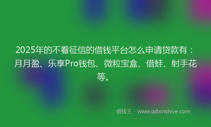 2025年的不看征信的借钱平台怎么申请贷款有：月月盈、乐享Pro钱包、微粒宝盒、借蛙、射手花等。