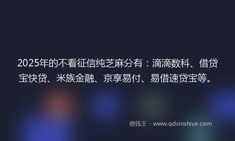 2025年的不看征信纯芝麻分有：滴滴数科、借贷宝快贷、米族金融、京享易付、易借速贷宝等。