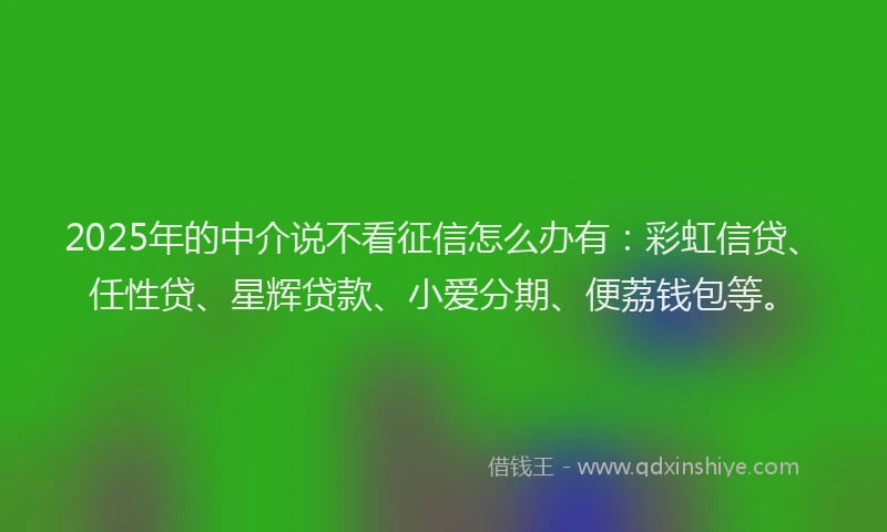 2025年的中介说不看征信怎么办有：彩虹信贷、任性贷、星辉贷款、小爱分期、便荔钱包等。