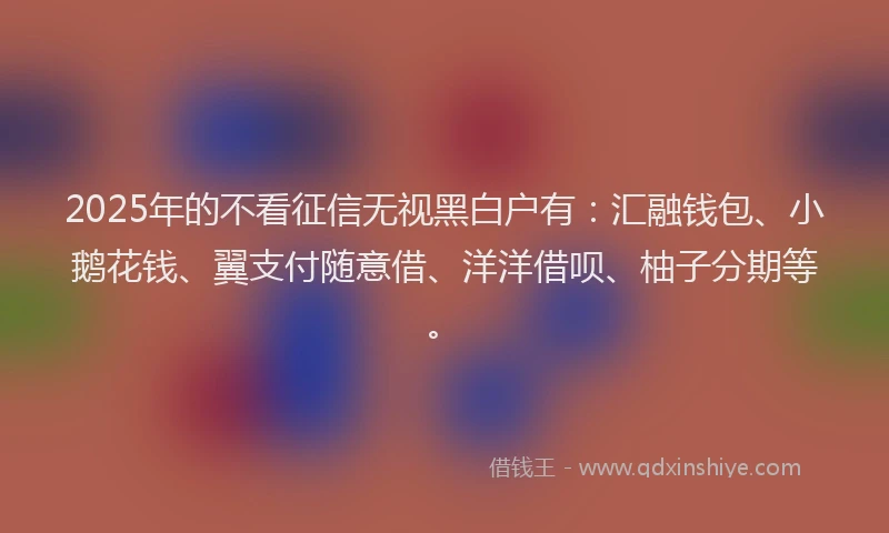 2025年的不看征信无视黑白户有：汇融钱包、小鹅花钱、翼支付随意借、洋洋借呗、柚子分期等。