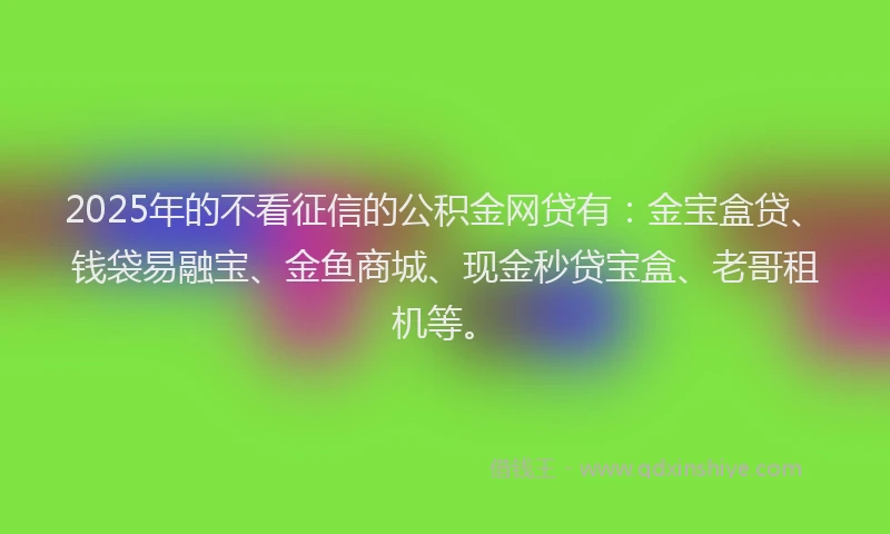 2025年的不看征信的公积金网贷有：金宝盒贷、钱袋易融宝、金鱼商城、现金秒贷宝盒、老哥租机等。