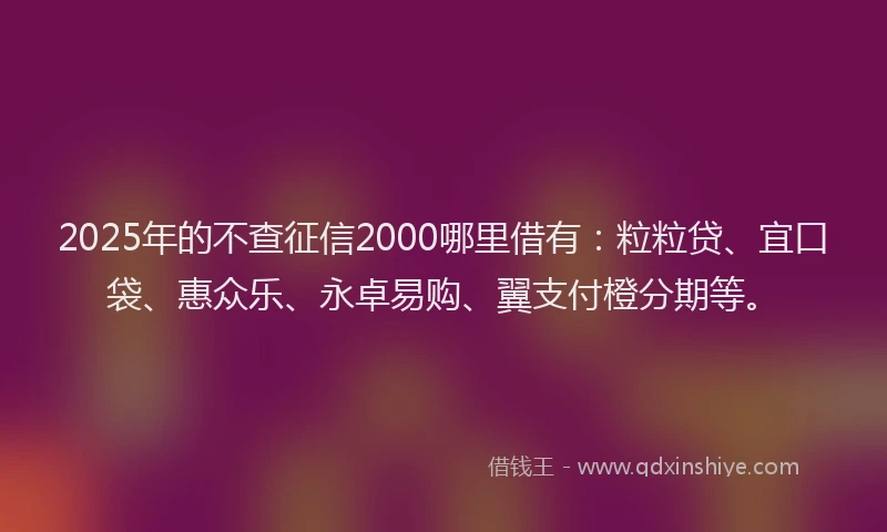 2025年的不查征信2000哪里借有：粒粒贷、宜口袋、惠众乐、永卓易购、翼支付橙分期等。