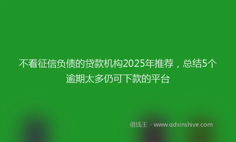 不看征信负债的贷款机构2025年推荐，总结5个逾期太多仍可下款的平台