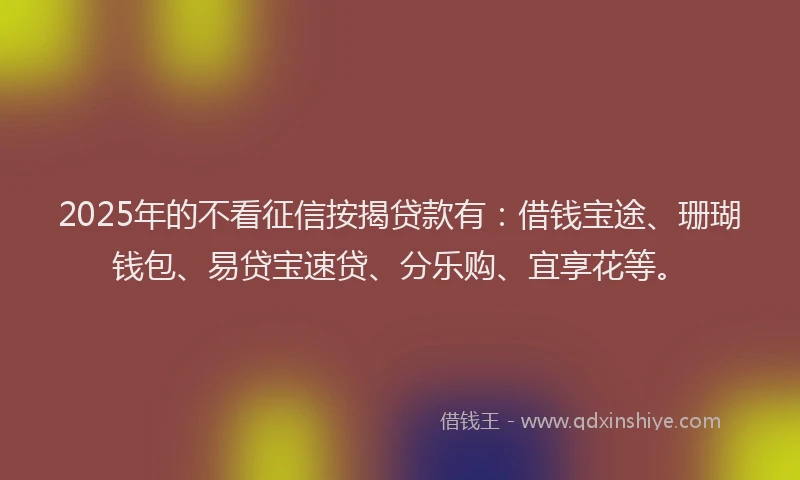 2025年的不看征信按揭贷款有：借钱宝途、珊瑚钱包、易贷宝速贷、分乐购、宜享花等。